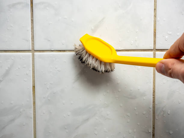 Reliable Whitesboro, NY Mold Removal Solutions