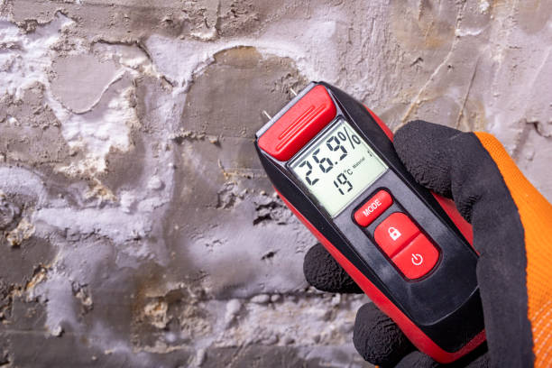 Best Attic Mold Removal  in Whitesboro, NY